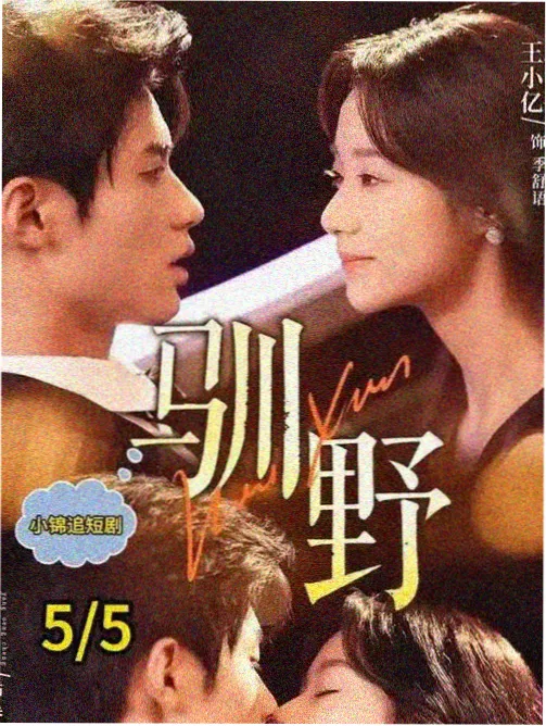 第七码头会员点映
